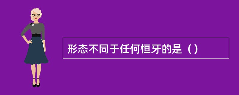 形态不同于任何恒牙的是（）