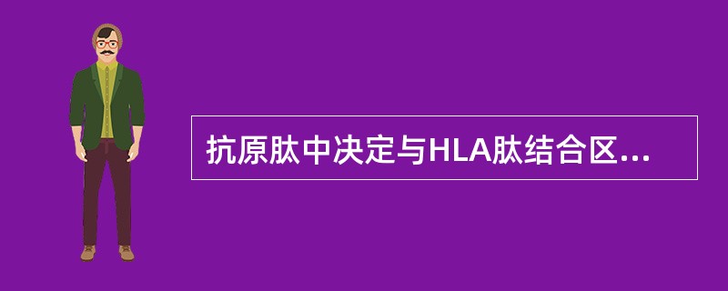 抗原肽中决定与HLA肽结合区的氨基酸称为（）