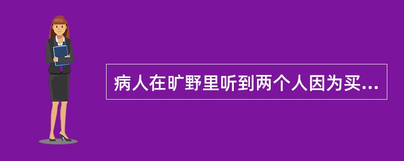 病人在旷野里听到两个人因为买一件物品而争吵不休，各说各的理，病人四处检查，未发现