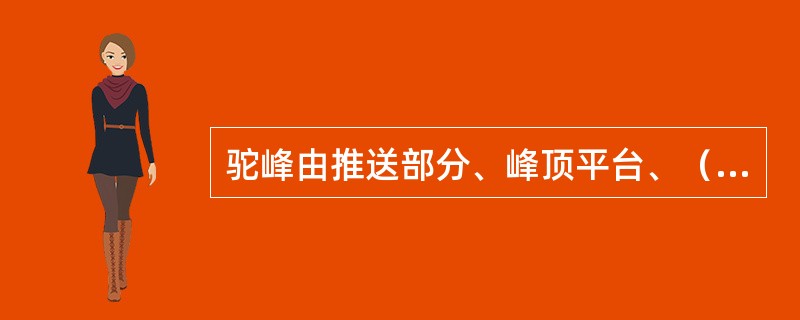 驼峰由推送部分、峰顶平台、（）三部分组成。