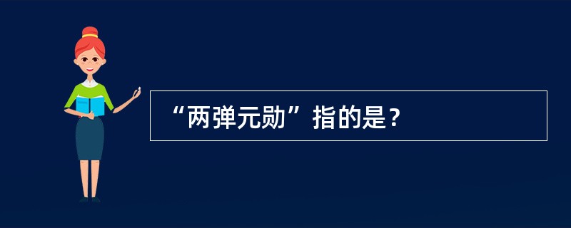 “两弹元勋”指的是？