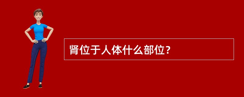 肾位于人体什么部位？