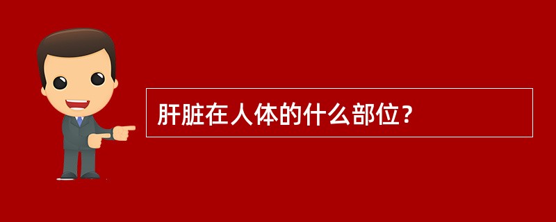 肝脏在人体的什么部位？