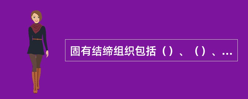 固有结缔组织包括（）、（）、（）和（）。