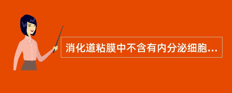 消化道粘膜中不含有内分泌细胞的是（）。