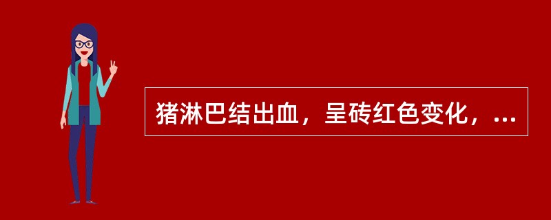 猪淋巴结出血，呈砖红色变化，主要见于（）。