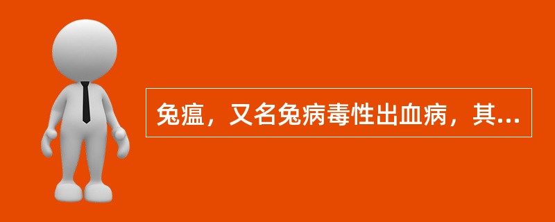 兔瘟，又名兔病毒性出血病，其主要的传染途径是（）。