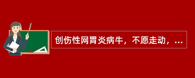 创伤性网胃炎病牛，不愿走动，更不愿走（）。