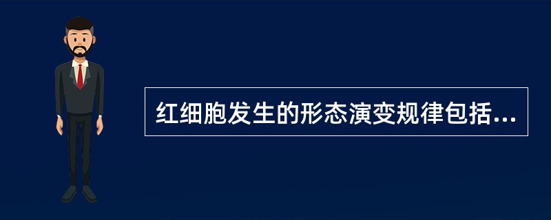 红细胞发生的形态演变规律包括（）。