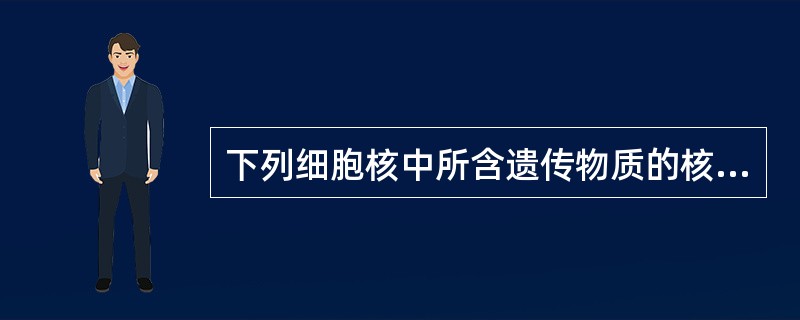 下列细胞核中所含遗传物质的核型为XY型的细胞有（）。