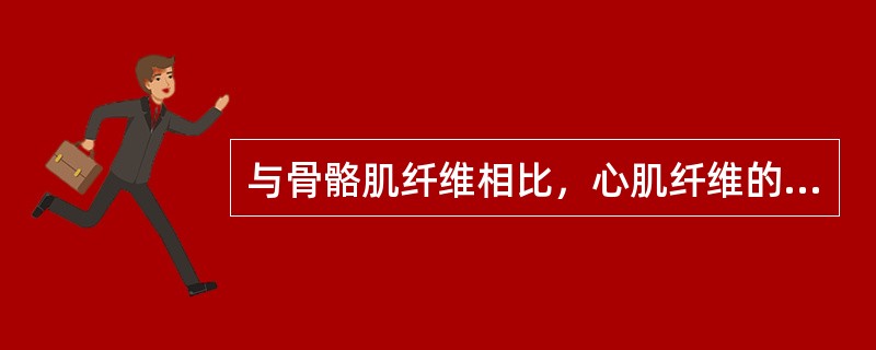 与骨骼肌纤维相比，心肌纤维的特点是（）。