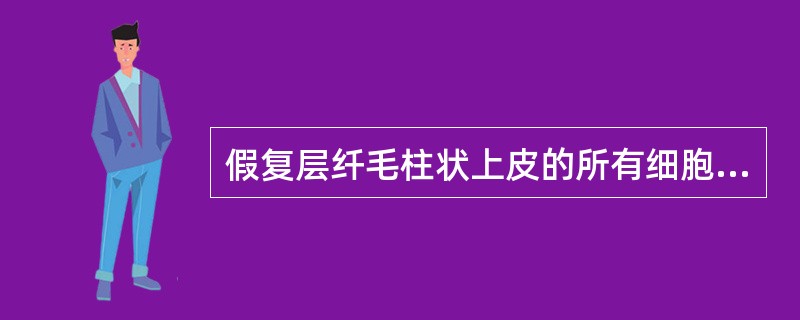 假复层纤毛柱状上皮的所有细胞基底面都附于基膜。（）