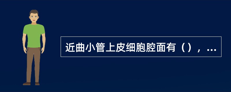 近曲小管上皮细胞腔面有（），电镜下由整齐排列的（）组成，该结构扩大了细胞游离面的