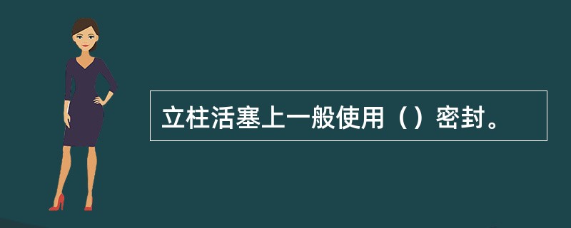 立柱活塞上一般使用（）密封。