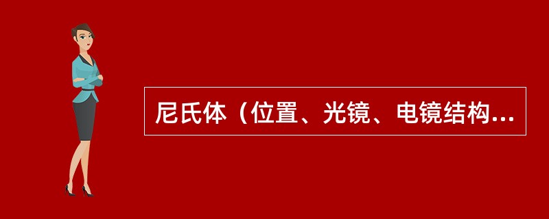 尼氏体（位置、光镜、电镜结构、功能）