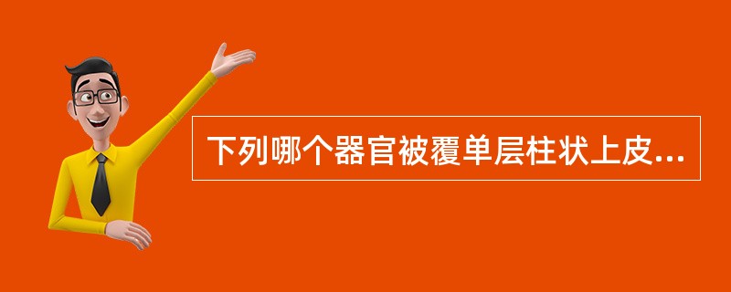 下列哪个器官被覆单层柱状上皮？（）