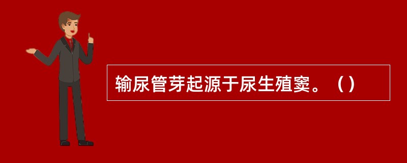 输尿管芽起源于尿生殖窦。（）