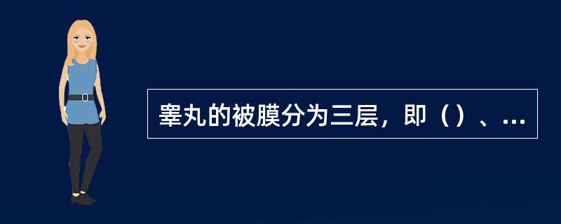 睾丸的被膜分为三层，即（）、（）、（），其中（）在睾丸后缘增厚形成睾丸纵隔，纵隔