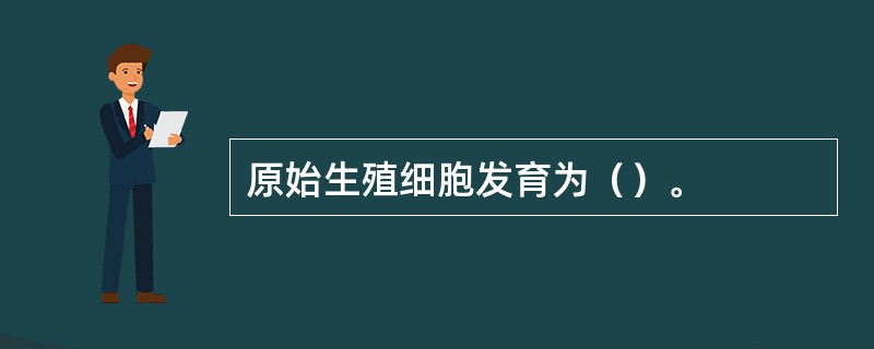 原始生殖细胞发育为（）。