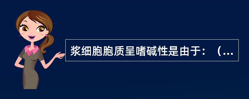 浆细胞胞质呈嗜碱性是由于：（）。