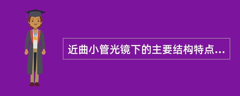 近曲小管光镜下的主要结构特点有（）、（）和（），与之相应的电镜结构是（）、（）和