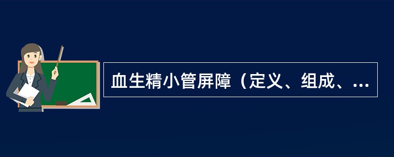 血生精小管屏障（定义、组成、功能）