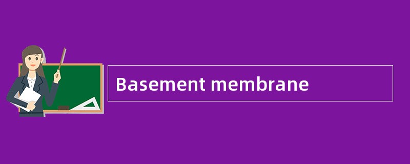 Basement membrane