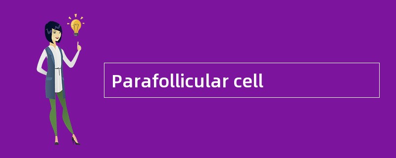 Parafollicular cell