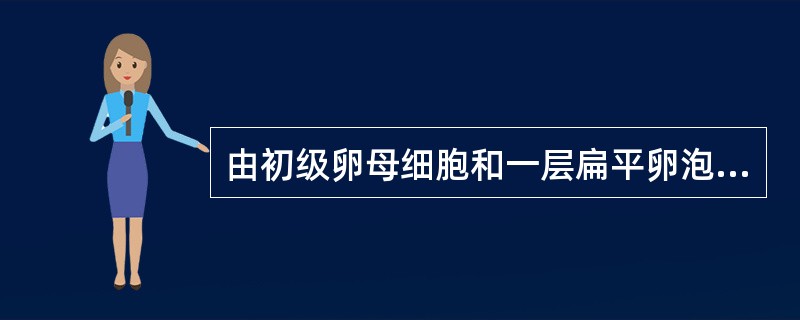 由初级卵母细胞和一层扁平卵泡细胞组成的是（）透明带皱缩的是（）