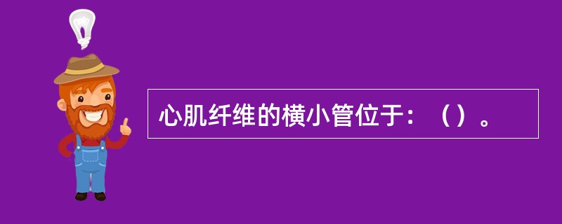 心肌纤维的横小管位于：（）。