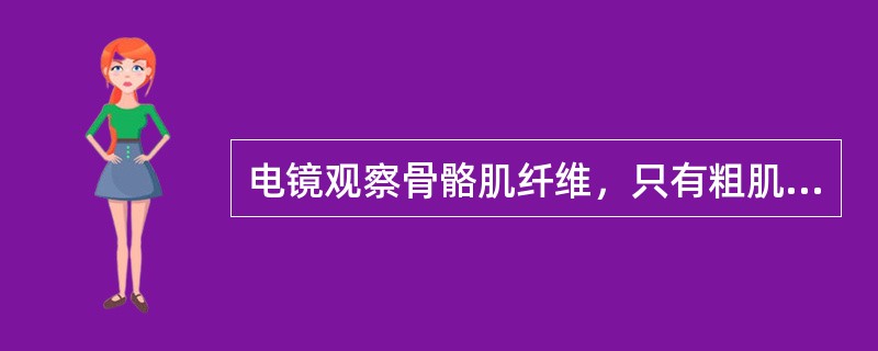 电镜观察骨骼肌纤维，只有粗肌丝而无细肌丝的部位是：（）。