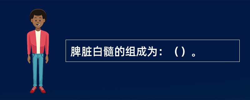 脾脏白髓的组成为：（）。