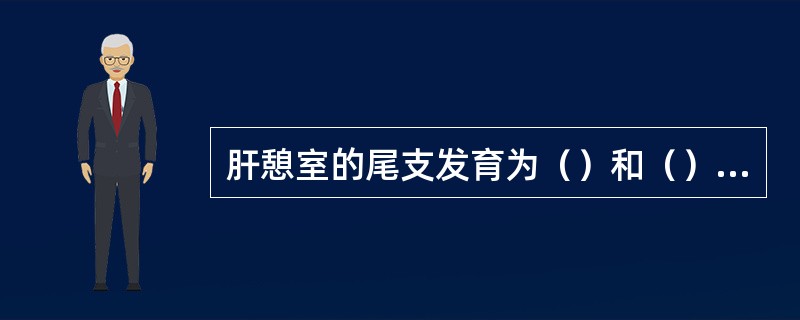 肝憩室的尾支发育为（）和（），肝憩室的根部发育为（）?