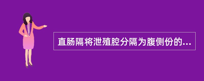 直肠隔将泄殖腔分隔为腹侧份的（）和背侧份的（），前者主要发育为（）和（），后者发