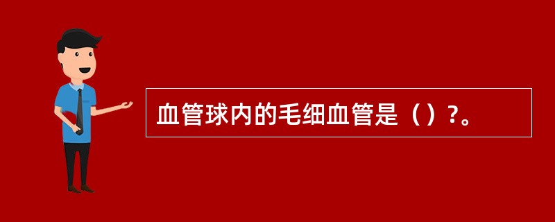 血管球内的毛细血管是（）?。