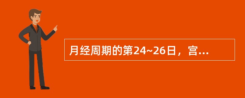 月经周期的第24~26日，宫内膜的结构为？（）