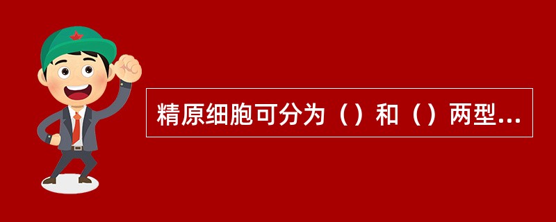 精原细胞可分为（）和（）两型细胞，前者是生精细胞的（），后者分化为（）。