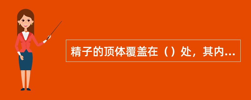 精子的顶体覆盖在（）处，其内含有（）、（）和磷酸酯酶等多种水解酶。