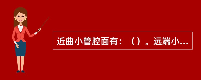 近曲小管腔面有：（）。远端小管直部：（）。