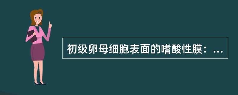 初级卵母细胞表面的嗜酸性膜：（）。初级卵母细胞和其周围的放射冠突起到卵泡腔形成：