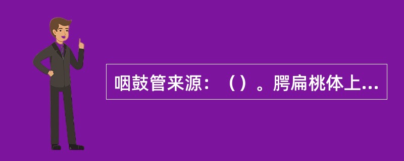 咽鼓管来源：（）。腭扁桃体上皮和隐窝来源：（）。胸腺上皮细胞来源：（）。上一对甲