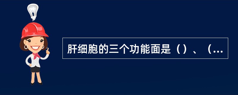 肝细胞的三个功能面是（）、（）和（）。