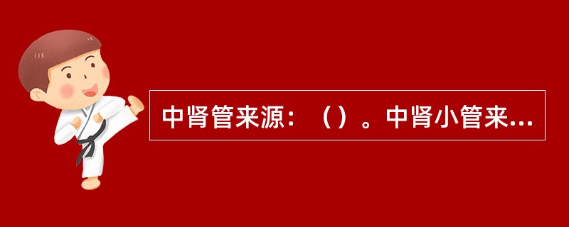 中肾管来源：（）。中肾小管来源：（）。肾盂肾盏来源：（）。肾小管各段来源：（）。