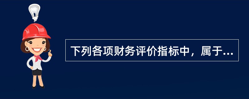 下列各项财务评价指标中，属于静态评价指标的是（）。