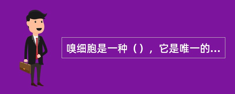 嗅细胞是一种（），它是唯一的一种存在于上皮内的（）。