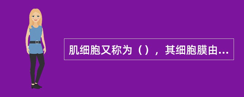 肌细胞又称为（），其细胞膜由称为（），细胞质又称为（）。