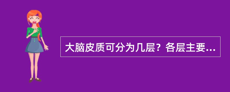 大脑皮质可分为几层？各层主要有哪些神经元构成？