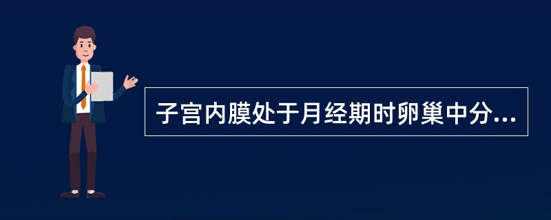 子宫内膜处于月经期时卵巢中分布有（）。