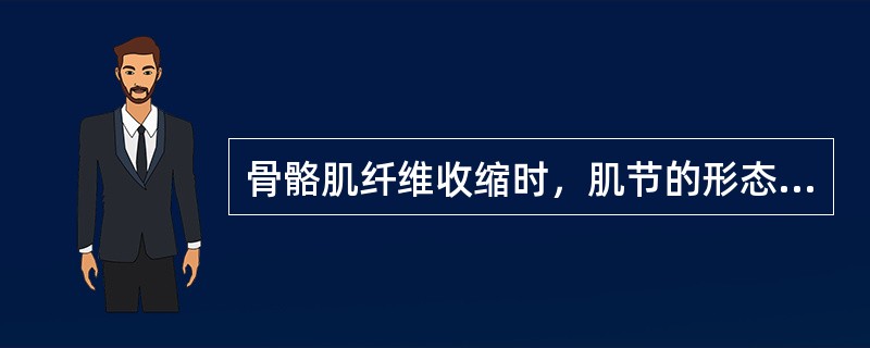 骨骼肌纤维收缩时，肌节的形态变化是（）。