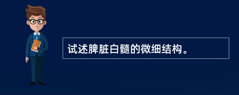 试述脾脏白髓的微细结构。